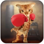 boxing cat android application logo